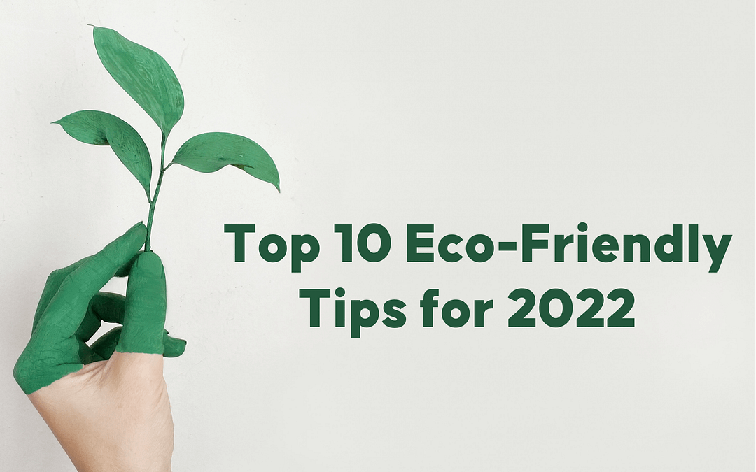 Top 10 Eco-Friendly Tips for 2022