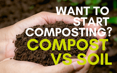 Gardening Basics: Compost vs Soil