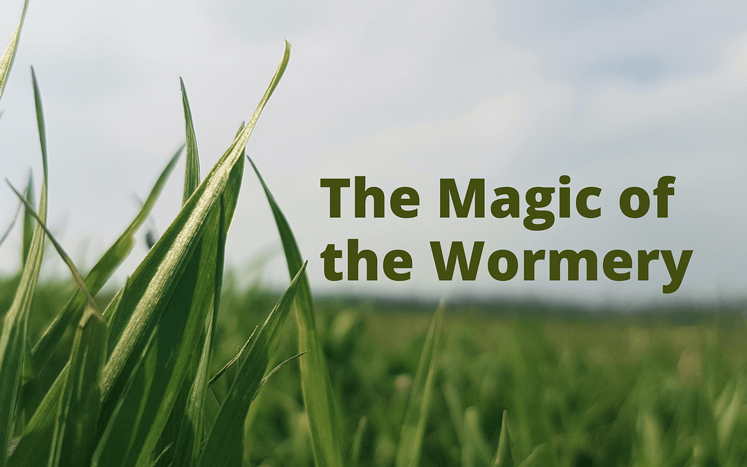 The Magic of the Wormery