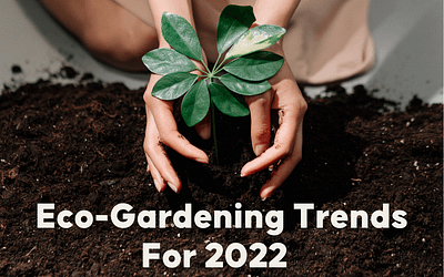 Eco-Gardening Trends for 2022