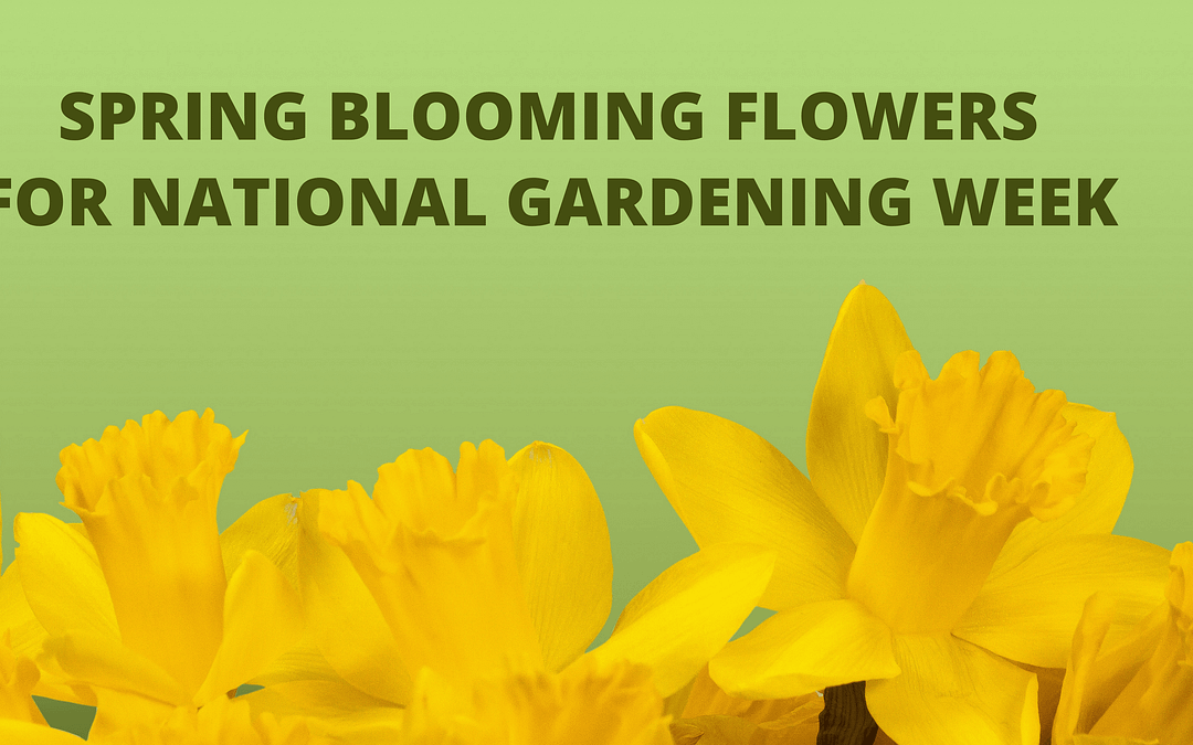 Top Five Spring Blooming Flowers for National Gardening Week