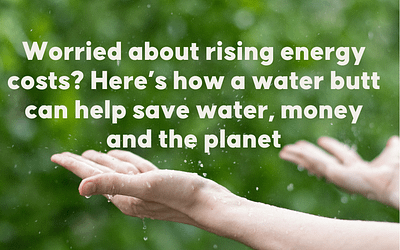 Worried about rising energy costs? Here’s how a water butt can help you save money, water, and the planet.