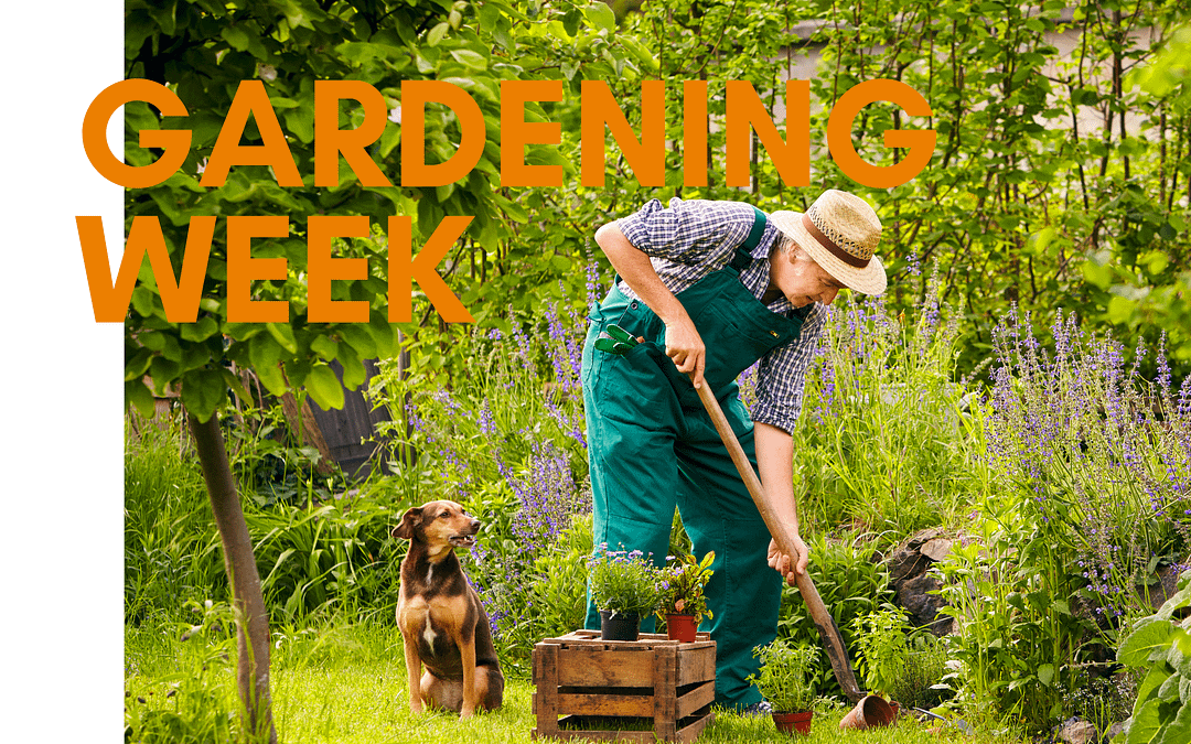 National Gardening Week 2021