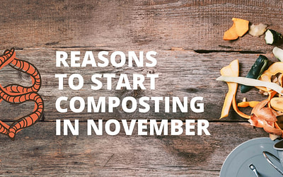 8 Reasons to Start Composting in November